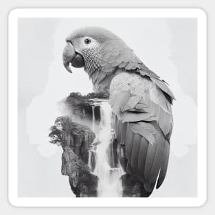 Parrot Nature Outdoor Imagine Wild Free Sticker